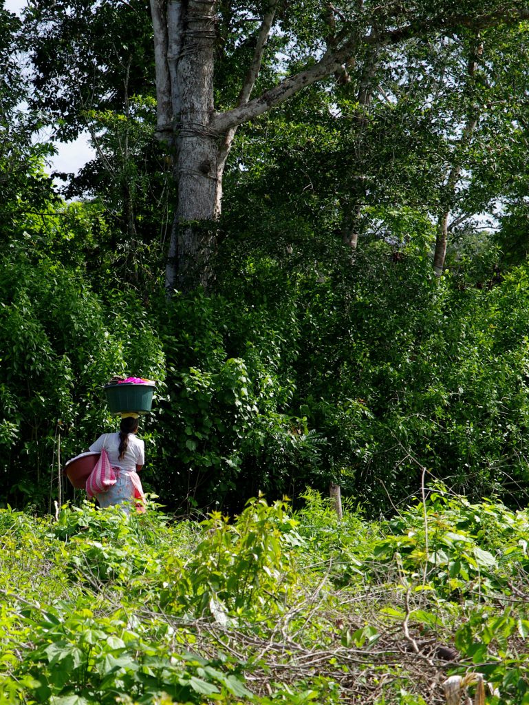 Frau mit Kopflast - Am Lago Peten - Guatemala