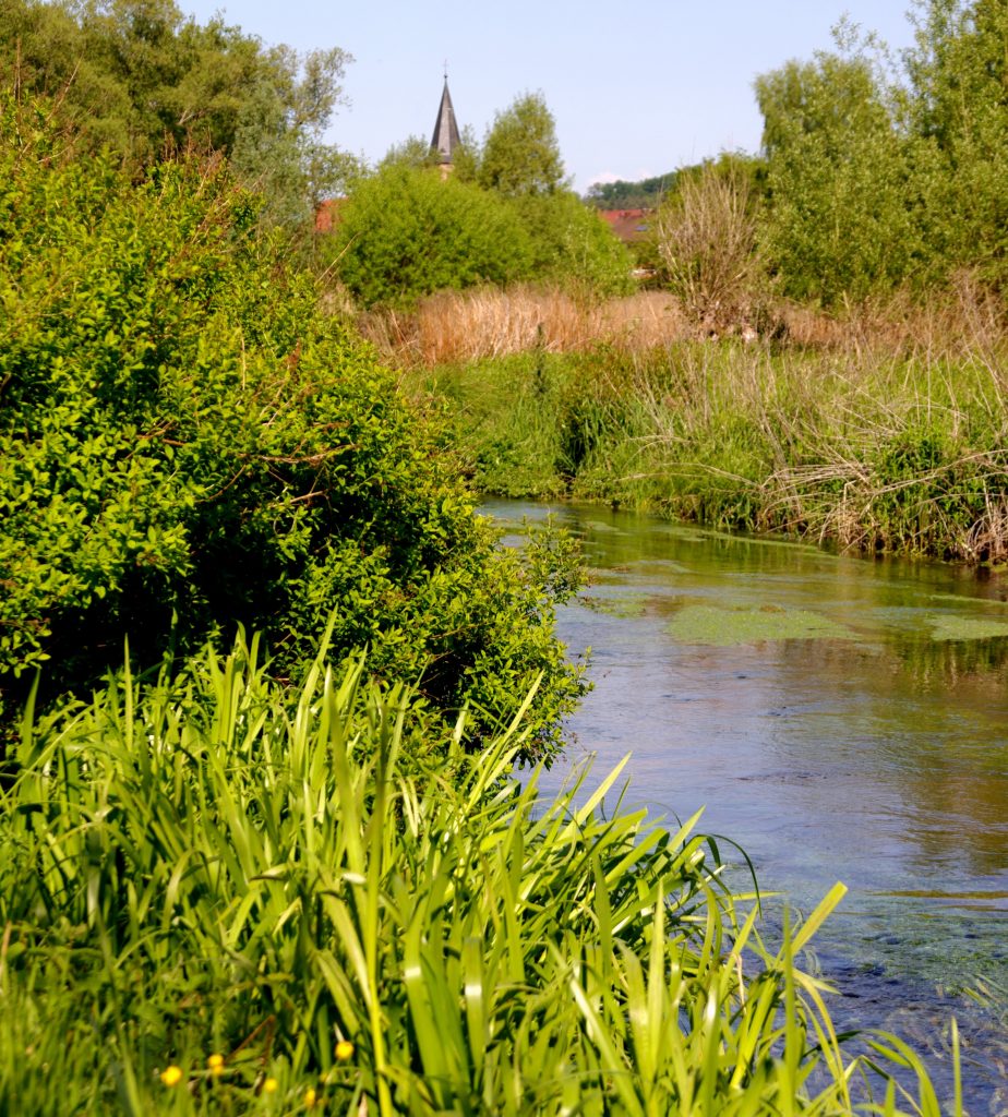 Am Saarbach entlang - Wasgauer Seenwanderung