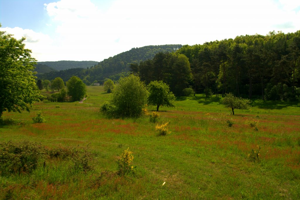 Blick zurück ins Tal - Am Saarbach entlang - Wasgauer Seenwanderung