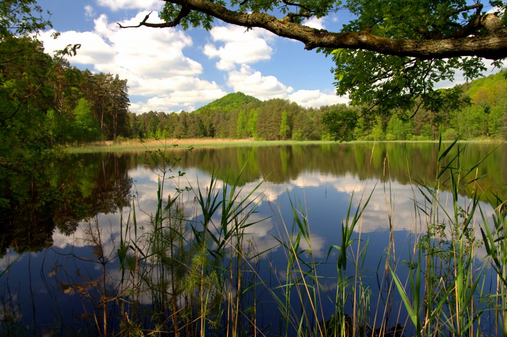 Pfälzer Woog - Wasgauer Seenwanderung