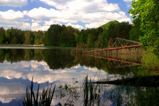 Pfälzer Woog - Wasgauer Seenwanderung