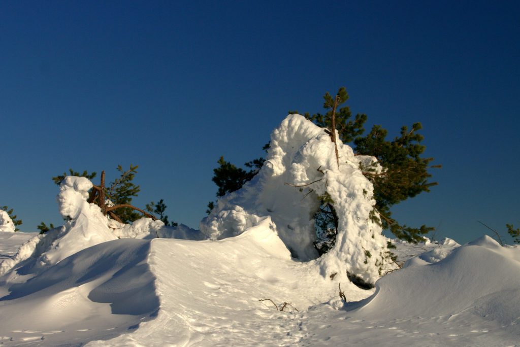Schneeverwehung - Hornisgrinde