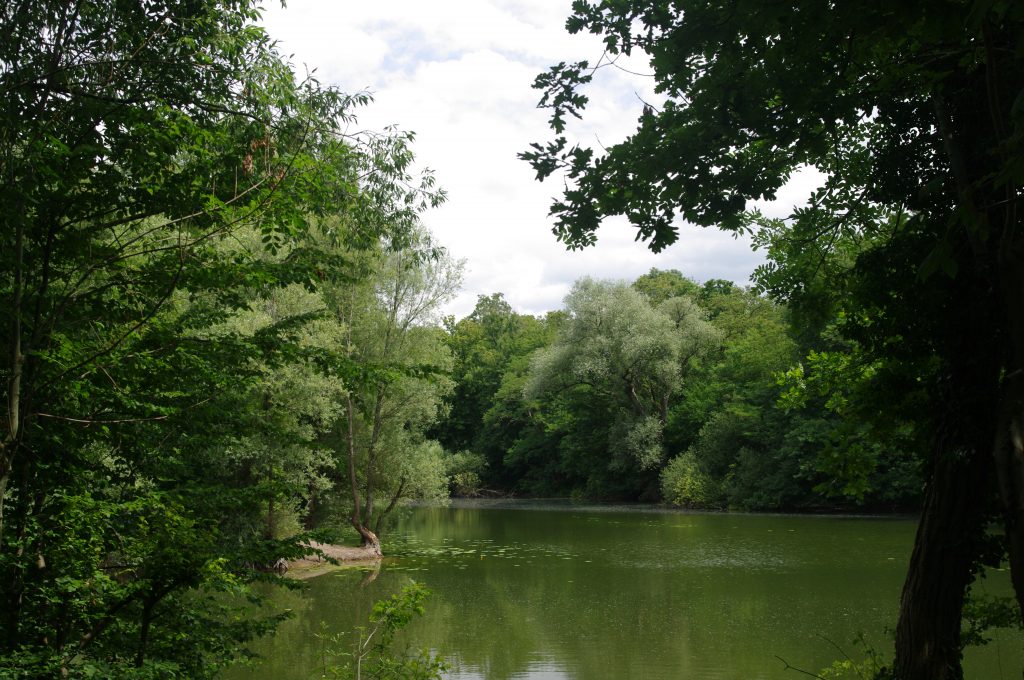Oberwaldsee - Karlsruhe