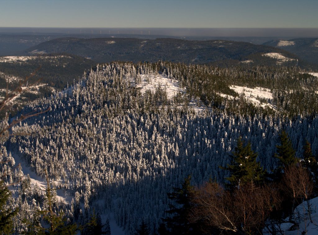 Blick in den Biberkessel - Hornisgrinde - Schwarzwald
