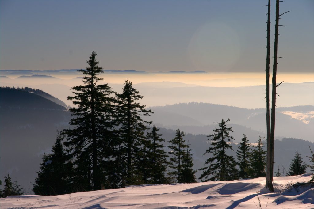 Blick in die Rheinebene - Hornisgrinde - Schwarzwald