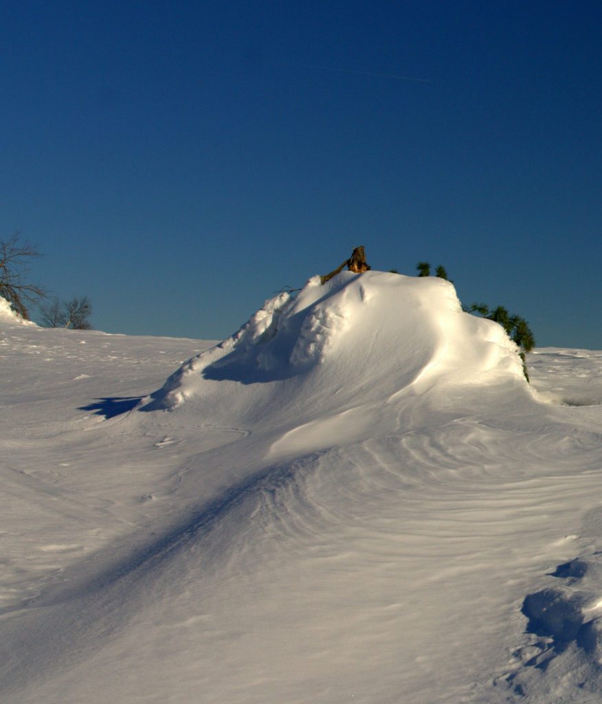 Schneeverwehung - Hornisgrinde