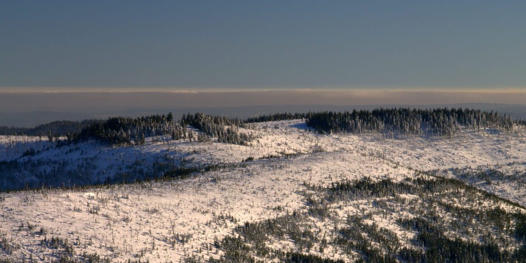 Schwarzwald im Schnee - Blick von der Hornisgrinde