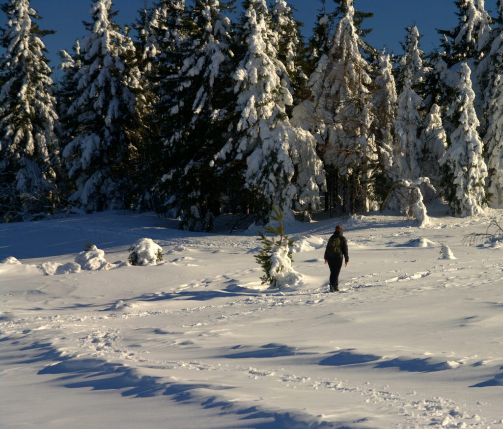 Wanderer im Schnee - Hornisgrinde - Schwarzwald