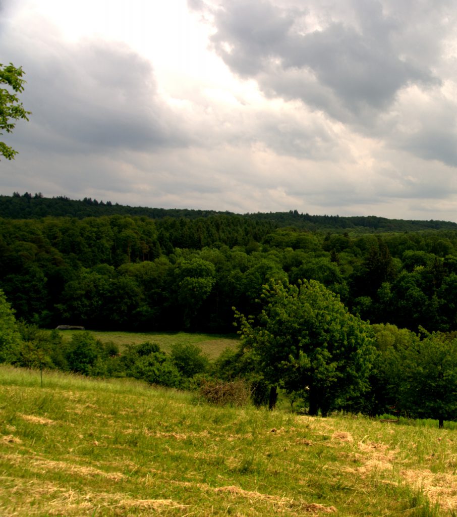 Blick auf das Plateau des Eppinger Hardt's