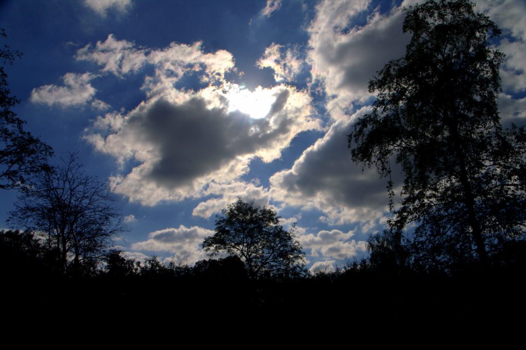 Gegenlicht