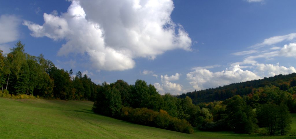 Blick nach Norden - Moosalbtal