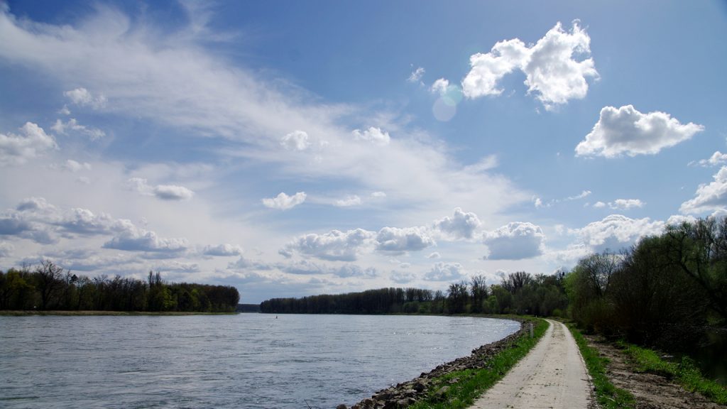 Rheinbiegung bei Hördt - Blick nach Süden