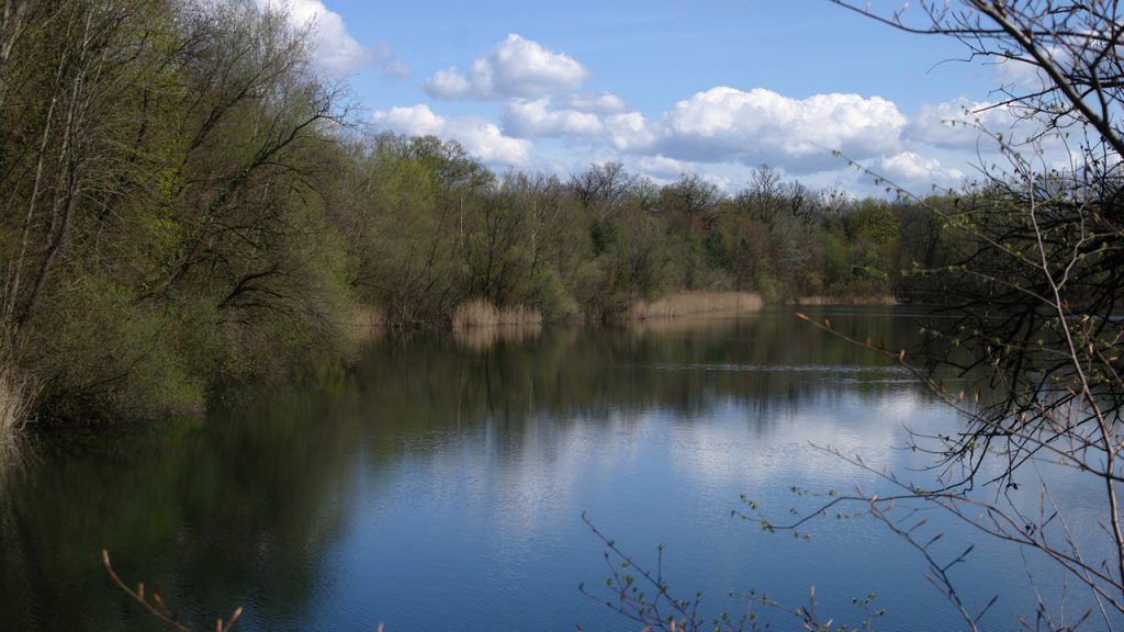 Wasserfläche