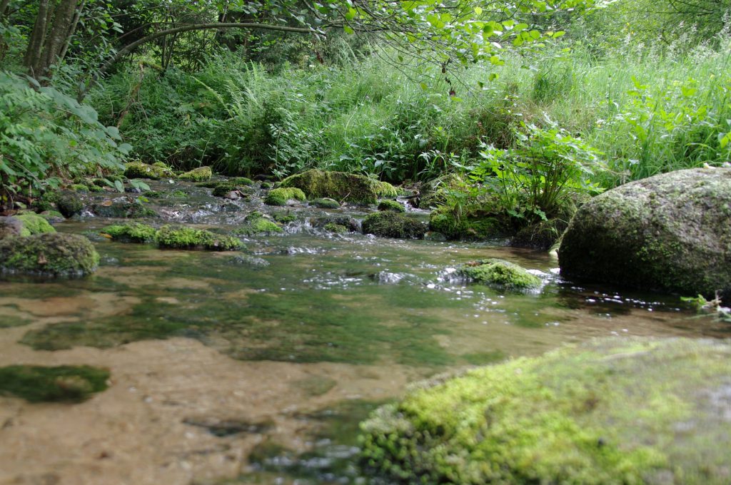 Oberlauf der Alb