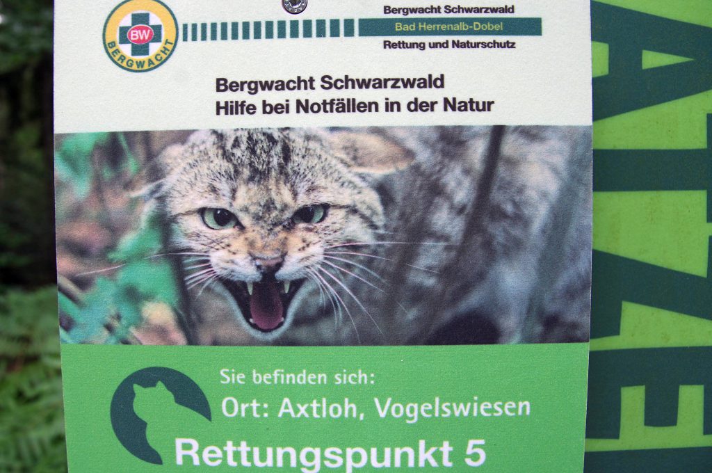 Wildkatze - Hinweisschild 2