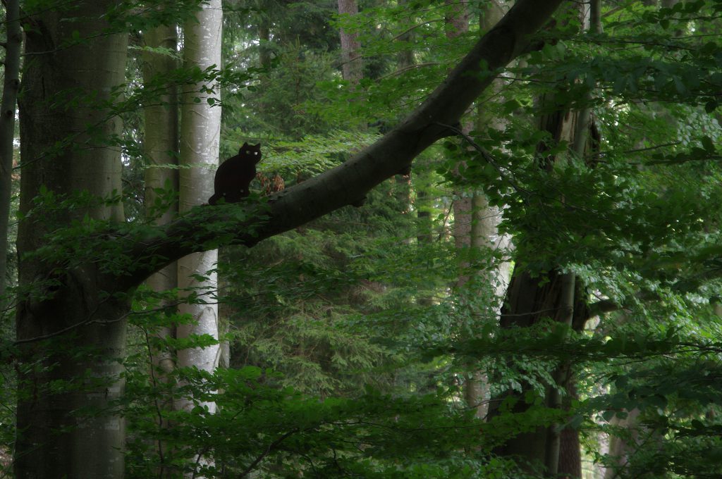 Wildkatze aus Blech im Baum