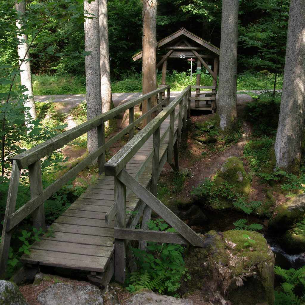 Oberlauf der Alb - 3