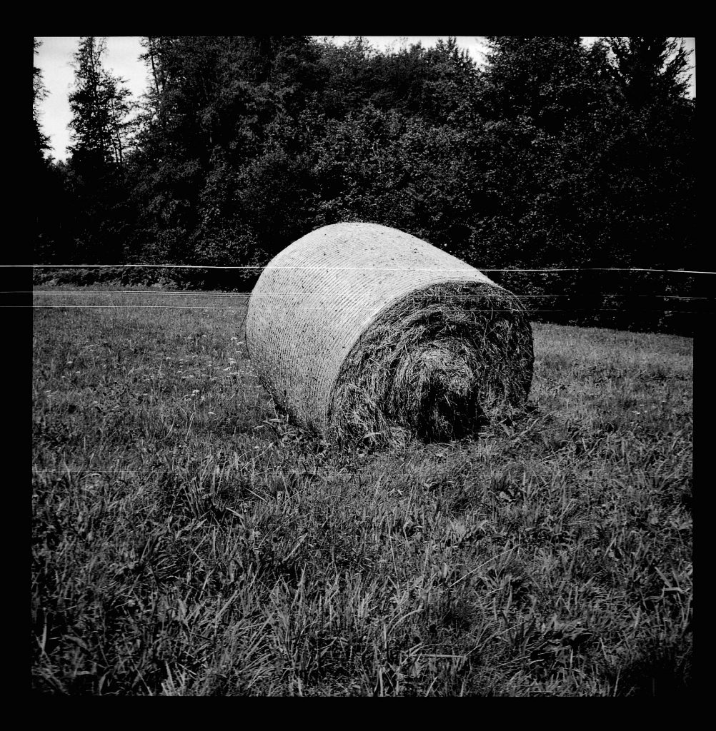 Strohballen -  AGFA ISOLY IIA MIT AGFA COLOR AGNAR 1:5.6/55 - FOMAPAN 100