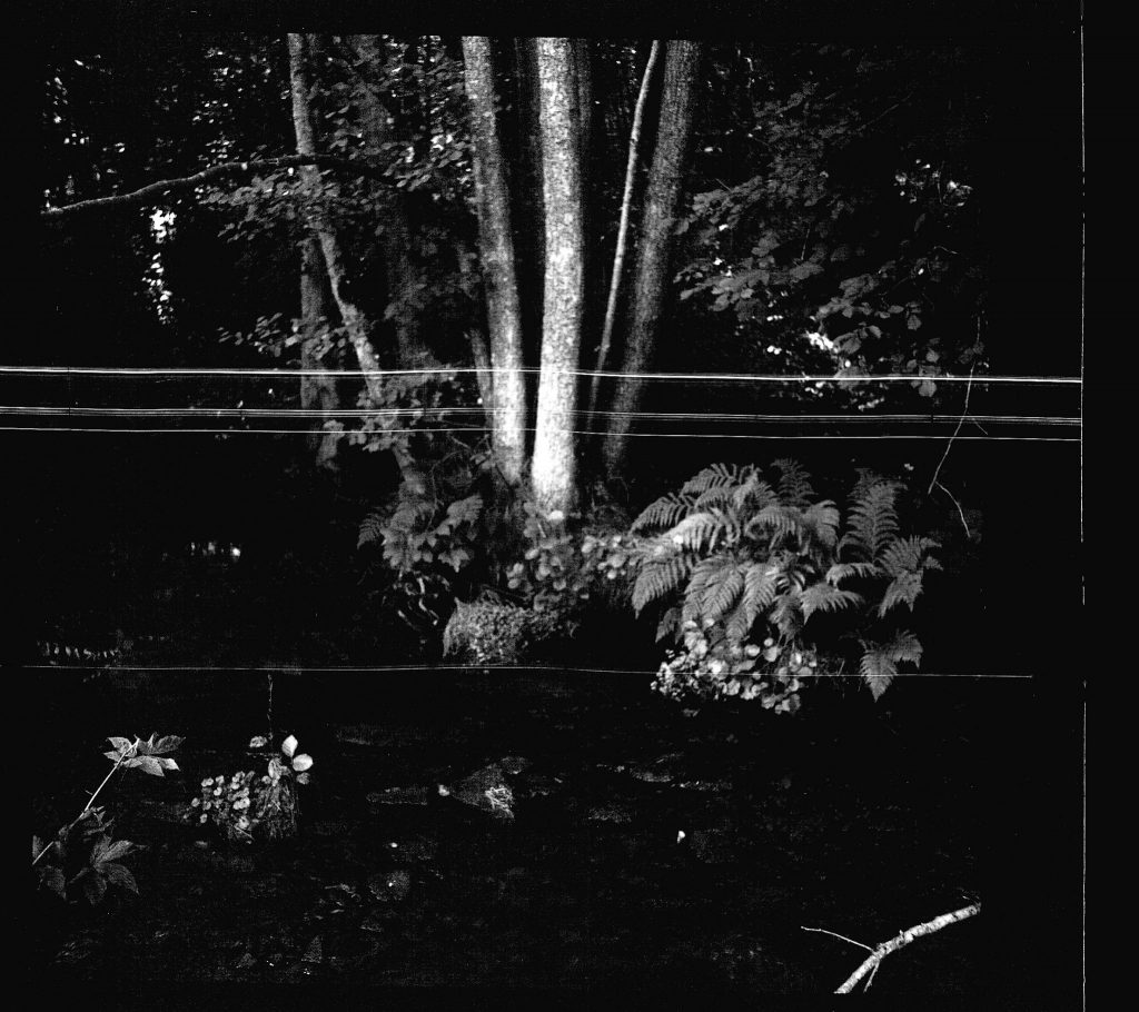 Die Moosalb -  AGFA ISOLY IIA MIT AGFA COLOR AGNAR 1:5.6/55 - FOMAPAN 100 