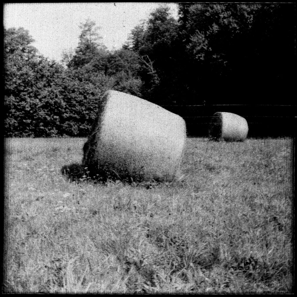  Strohballen - AGFA ISOLY IIA MIT AGFA COLOR AGNAR 1:5.6/55 - FOMAPAN 100   
