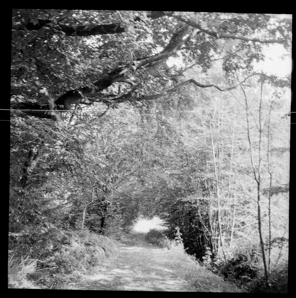 Weg -  AGFA ISOLY IIA MIT AGFA COLOR AGNAR 1:5.6/55 - FOMAPAN 100