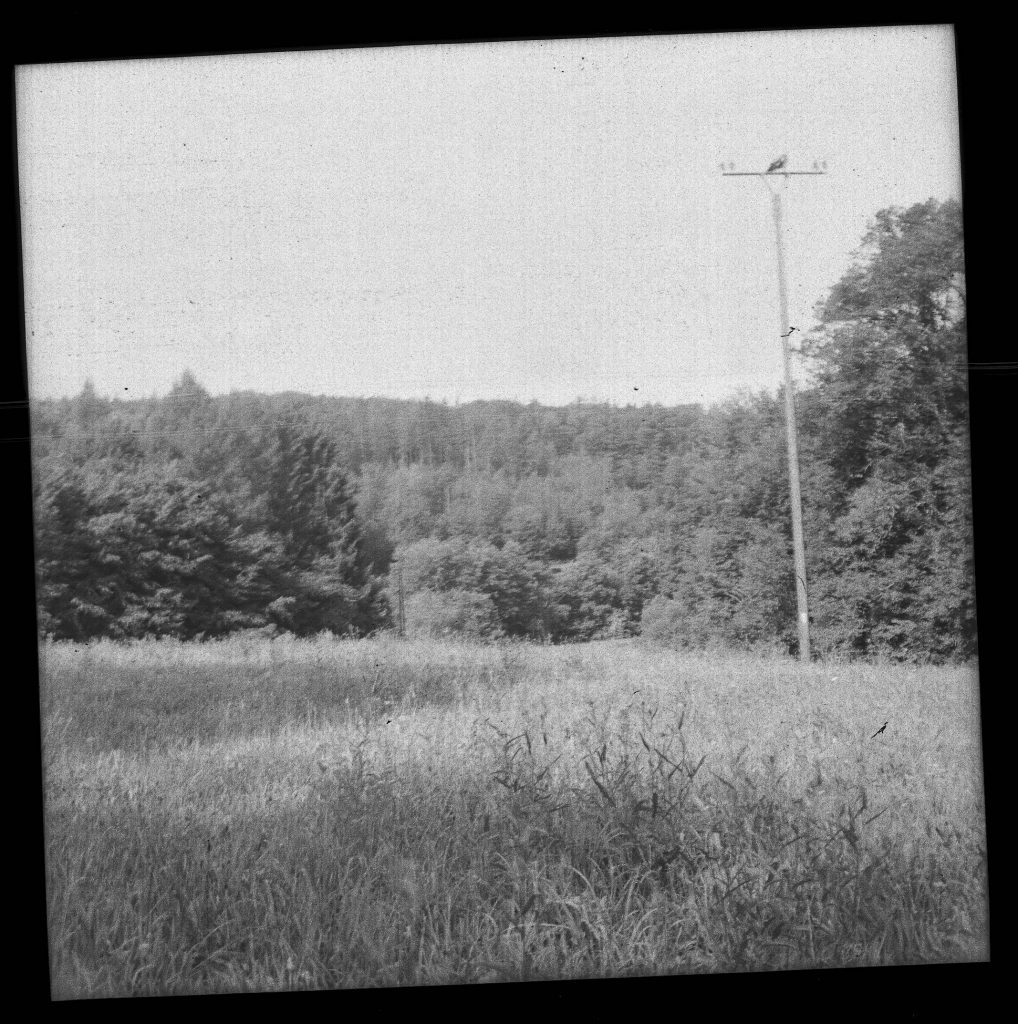 Das Moosalbtal -  AGFA ISOLY IIA MIT AGFA COLOR AGNAR 1:5.6/55 - FOMAPAN 100 