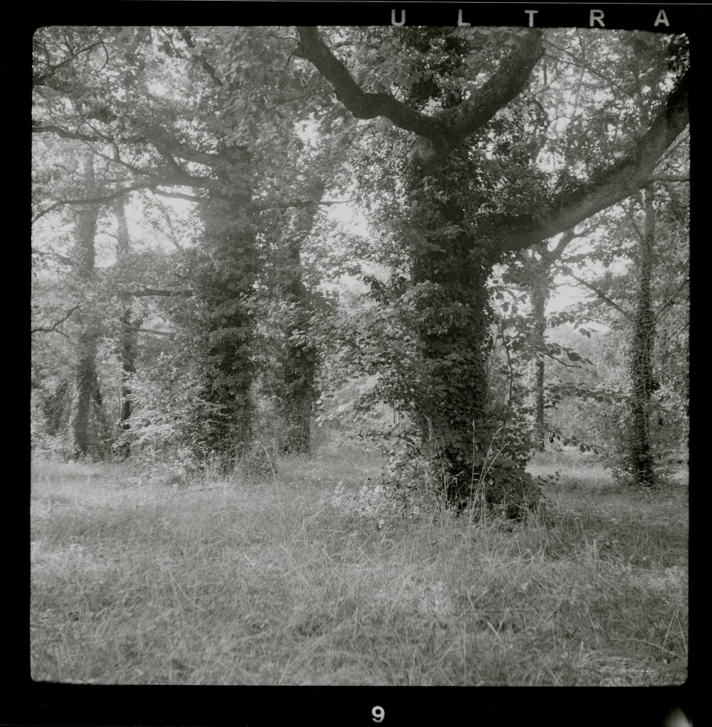 Adox Golf 45S - Fomapan 400
