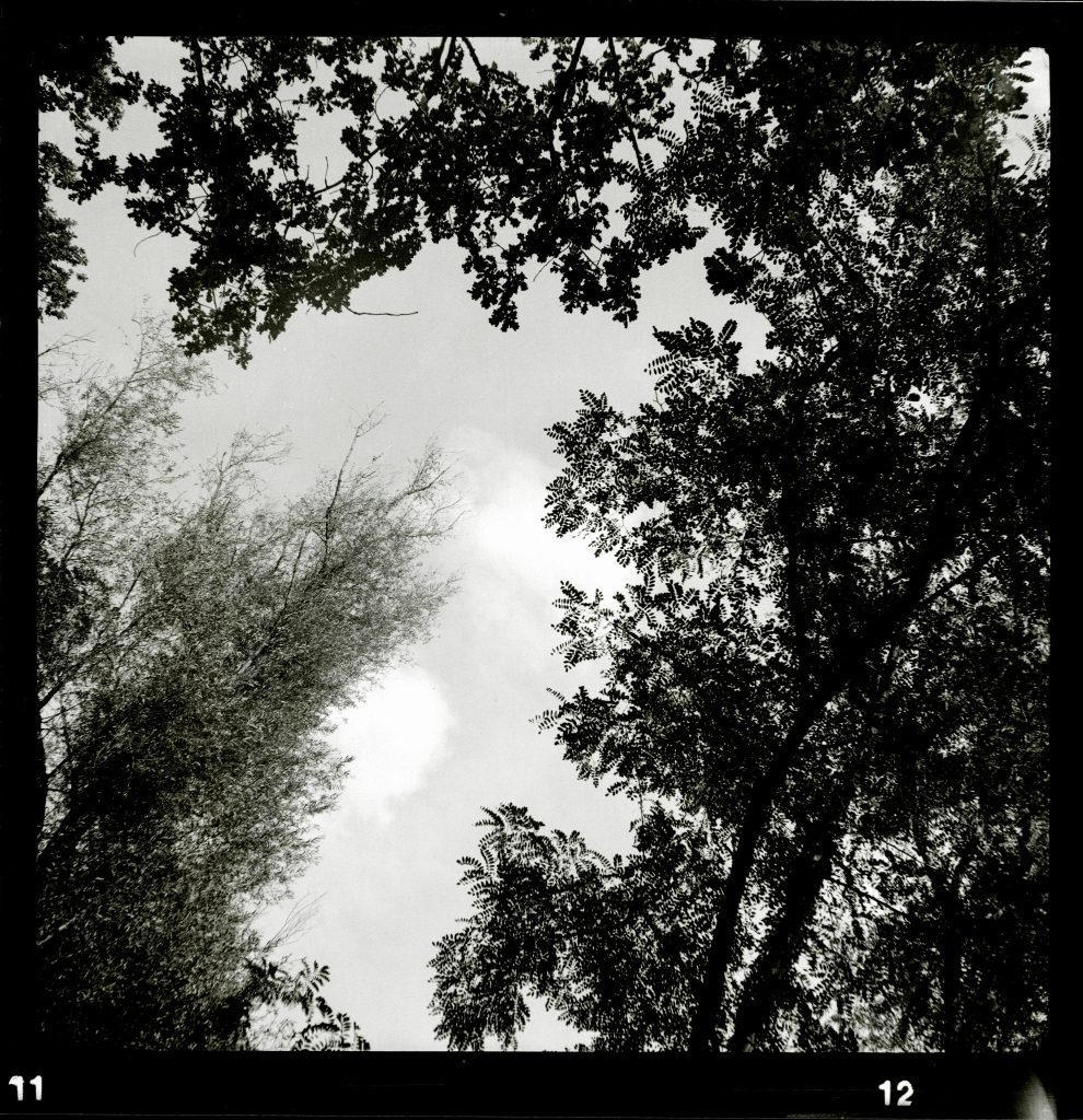Adox Golf 45S - Fomapan 400