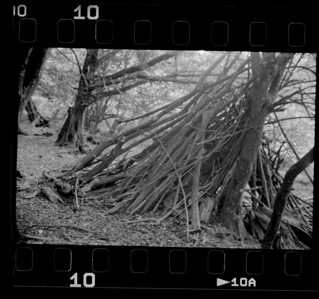 Akarette II - Schneider Kreuznach XENON 1:2,0 F=50mm - Agfa APX 400