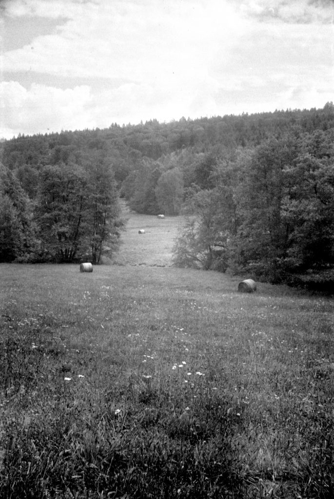 Akarette II - Schneider Kreuznach XENON 1:2,0 F=50mm - Agfa APX 400