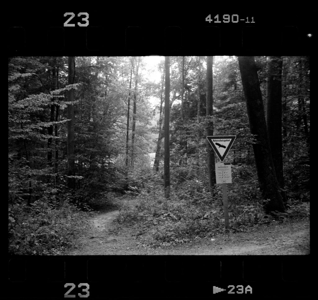 Akarette II - Schneider Kreuznach XENON 1:2,0 F=50mm - Agfa APX 400