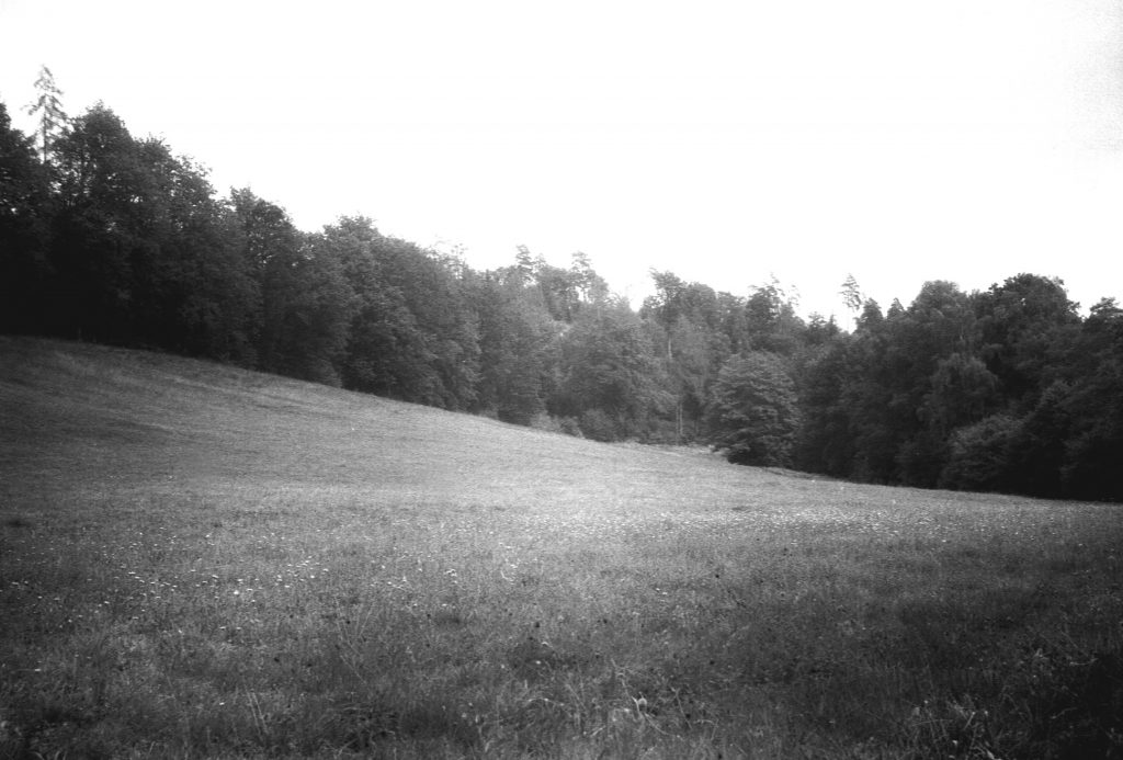 Akarette II - Agfa APX 400