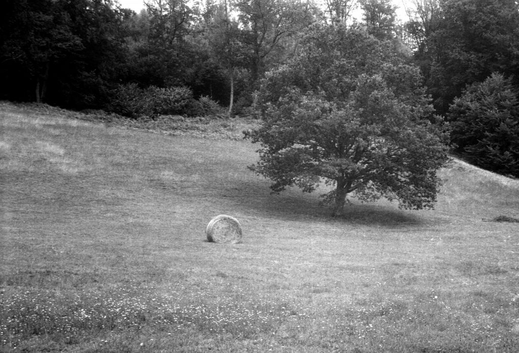 Akarette II - Schneider Kreuznach XENON 1:2,0 F=50mm - Agfa APX 400