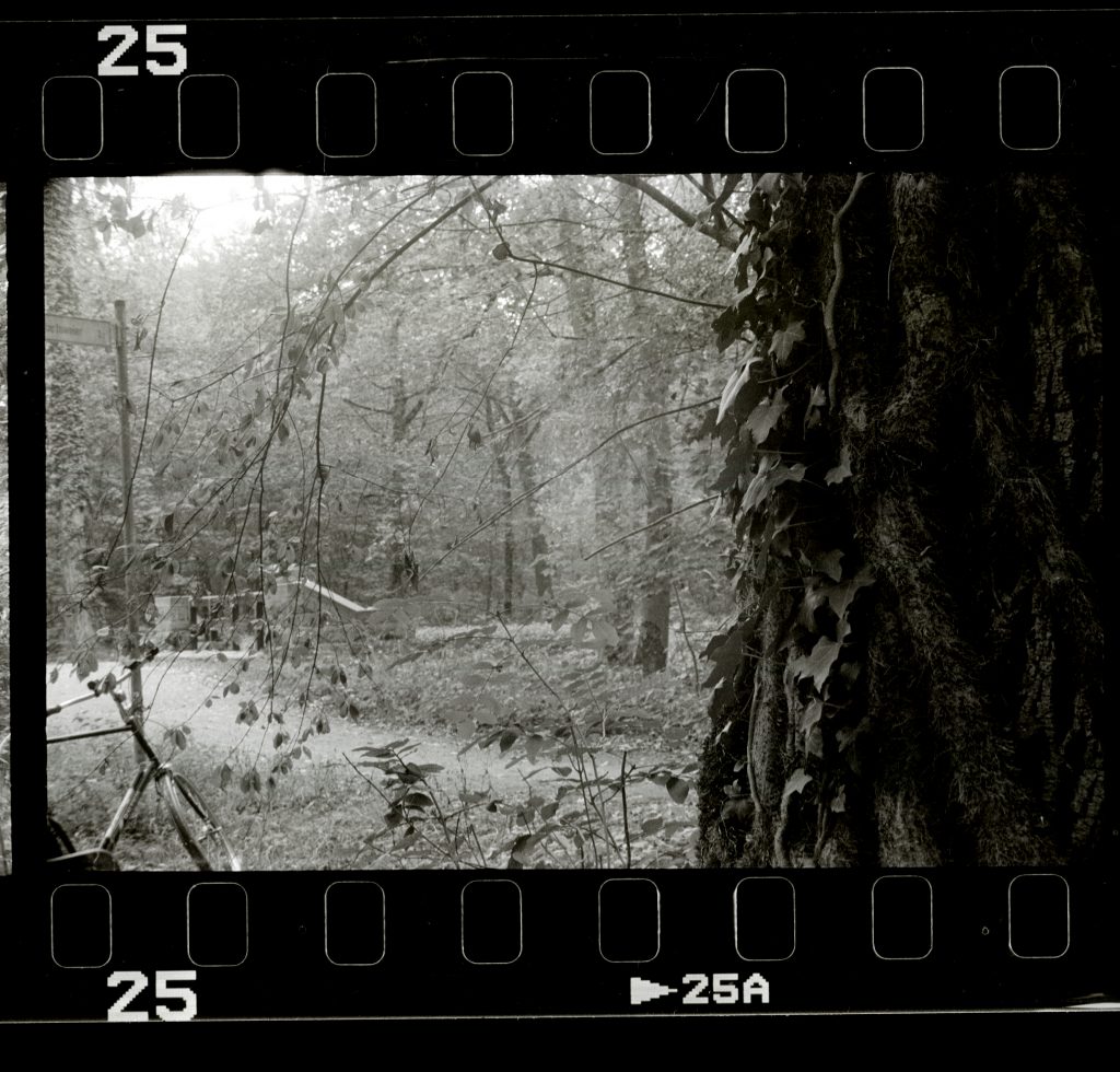 Mit dem Fahrrad im Wald - Akarette II - Schneider Kreuznach XENON 1:2,0 F=50mm - Agfa APX 400