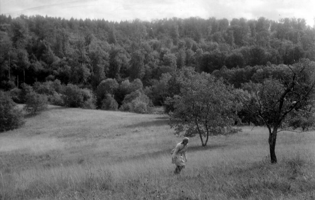 Michaelsberg -   Zeiss Ikon Ercona - Fomapan 100  - mit Gimp bearbeitet  