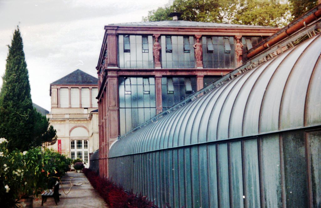 Gewächshaus des botanischen Garten in Karlsruhe - Akarette II und Fujicolor Superia 200