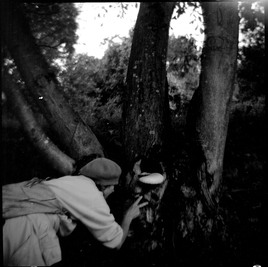 Agfa Isola I - Fomapan 100