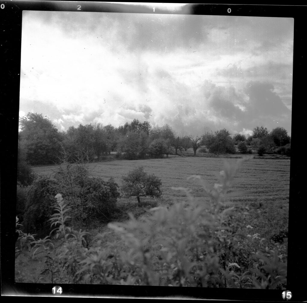 Agfa Isola I auf dem Michaelsberg - Fomapan 100