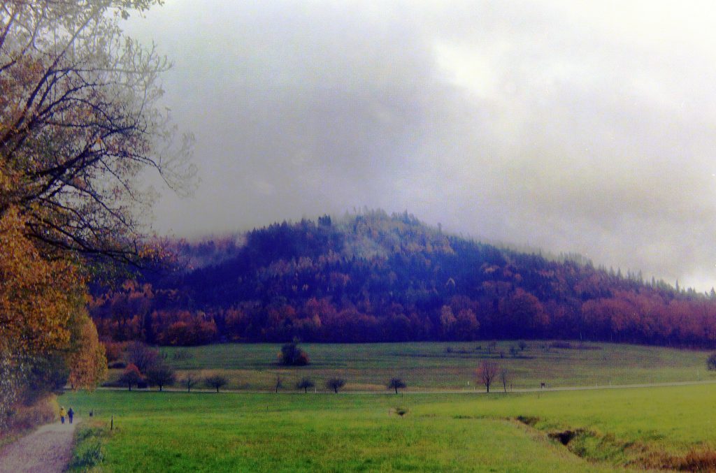 Landschaft bei Moosbronn - Zeiss Ikon Ercona mit Kodak Ektar 100