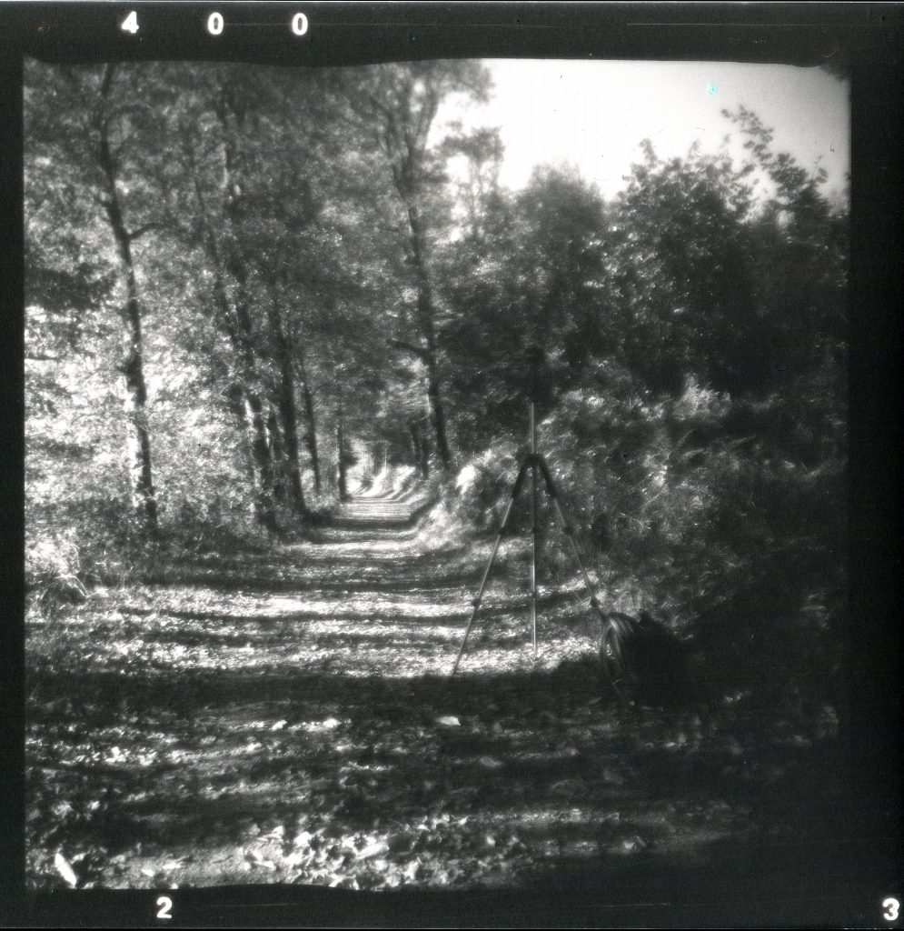 Waldweg - Felica - Vredeborch - Fomapan 400
