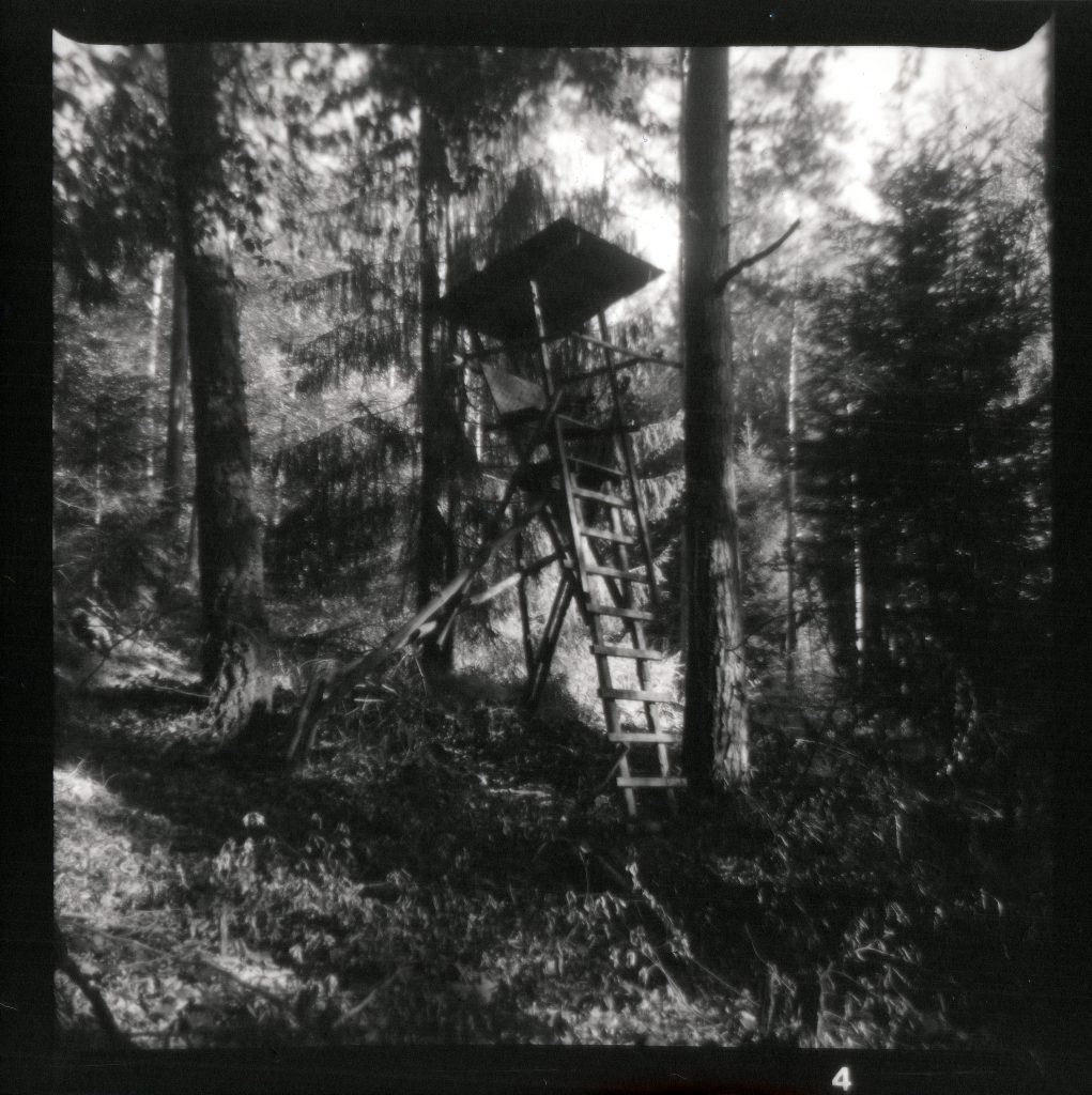 Hochsitz - Felica - Vredeborch - Fomapan 400