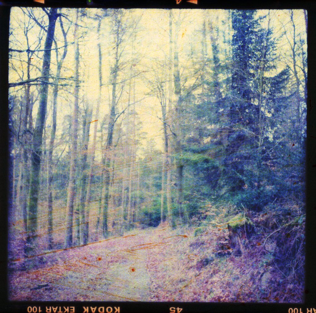 Waldweg