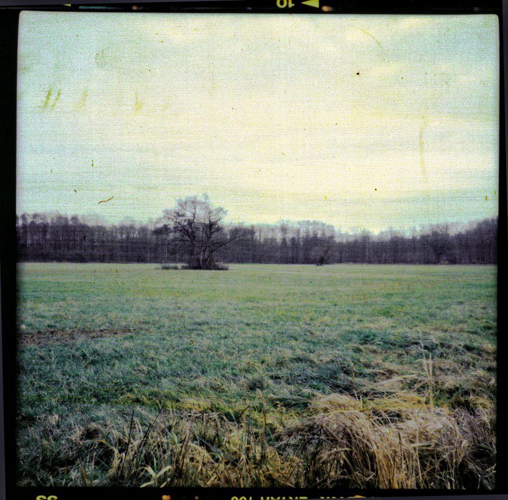 Feld im Hanauerland - Zeiss Ikon Nettar