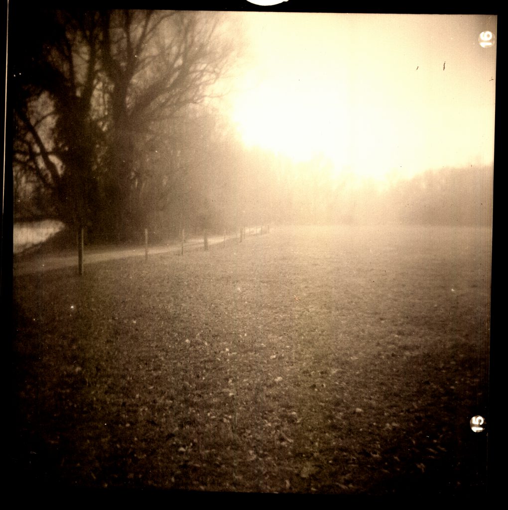Wiese mit Zaun