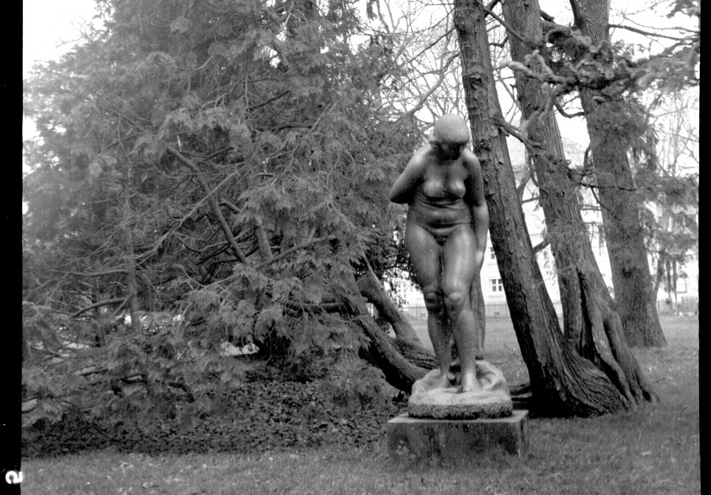 Statue im botanischen Garten Karlsruhe aufgenommen mit einer Zeiss Ikon Tengor Box 55/2 mit Goerz Frontar 105mm/1:11 auf Fomapan 100