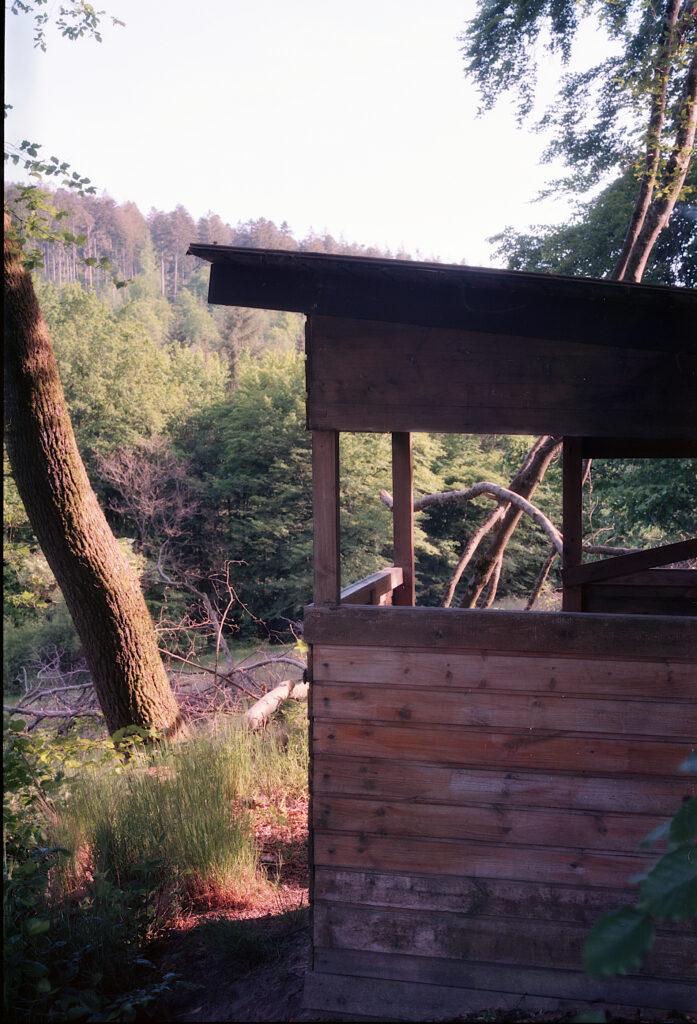 Im Moosalbtal - Horseman VH-R - Kodak Ektar