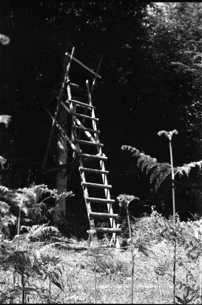 Mein erstes Foto mit der Horseman VH-R - Fomapan 200 