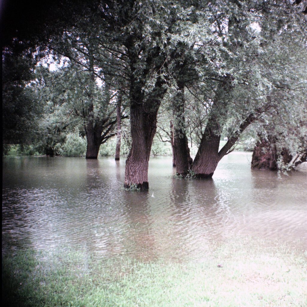 Hochwasser in Rappenwörth am Rhein - Bilora Bonita 66 mit Ektachrome 100 - cross-entwickelt