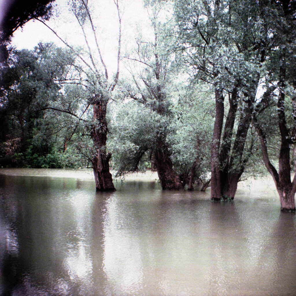 Überschwemmte Uferzone in Rappenwörth am Rhein - Bilora Bonita 66 mit Ektachrome 100 - cross-entwickelt