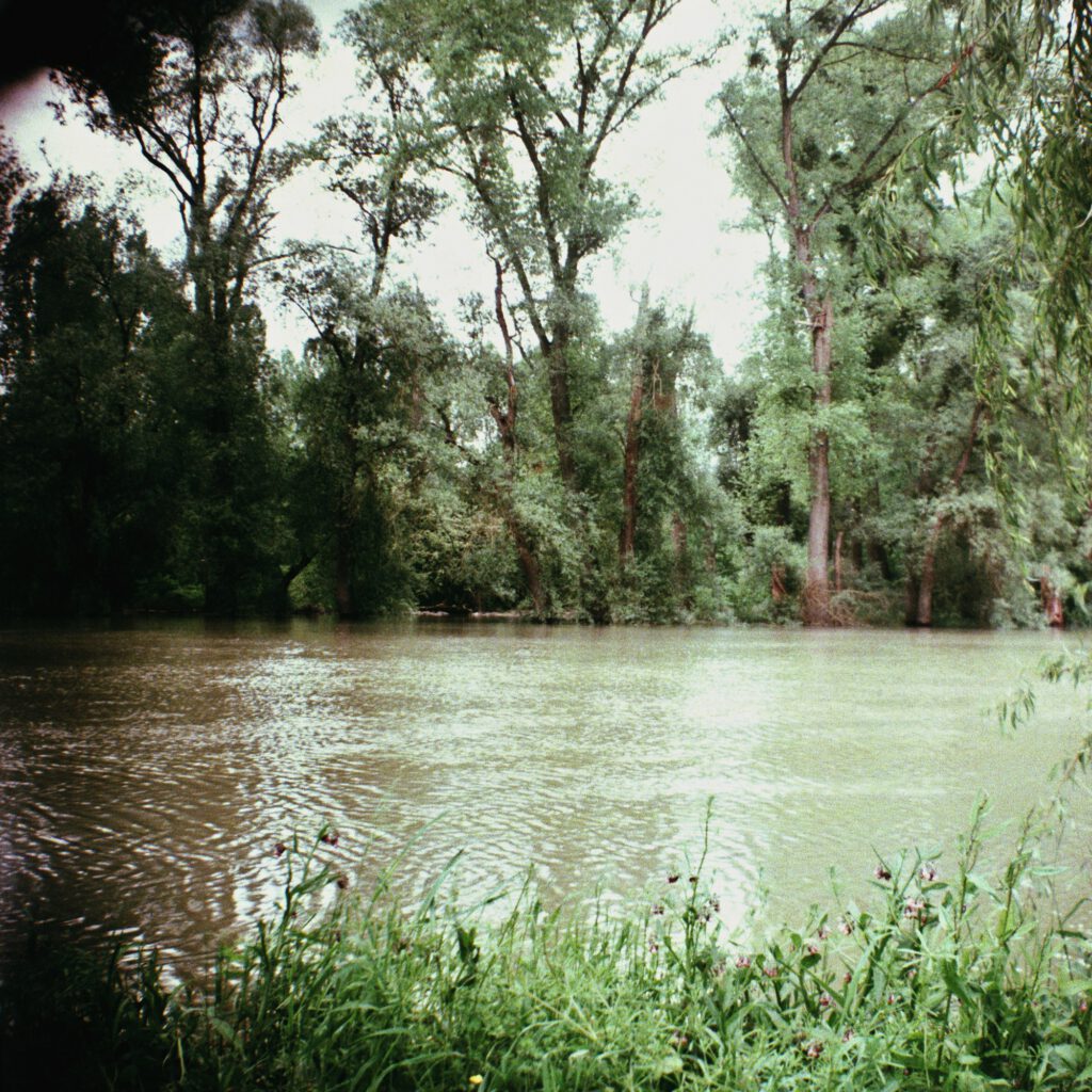 Altrheinarm in Rappenwörth am Rhein - Bilora Bonita 66 mit Ektachrome 100 - cross-entwickelt